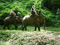 097 -  0708 - ballade a dos d'elephants 2.jpg
